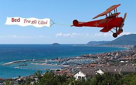 Tra Gli Ulivi